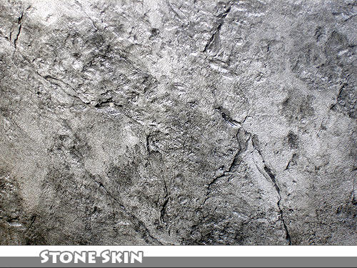 Stone Skin Stamped Concrete Wall